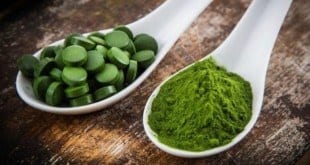 A spirulina é considerada por especialistas como o alimento mais nutritivo depois do leite materno