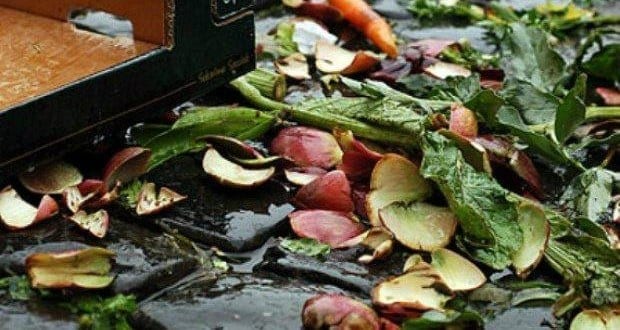 A União Europeia (UE) registra anualmente perda de 89 milhões de toneladas de alimentos, o que equivale a 179 quilos de comida por habitante perdidos a cada ano, segundo relatório do governo português sobre o desperdício alimentar