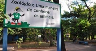 Montes Claros - Zoológico de Montes Claros receberá novos animais‏
