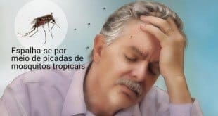 MG - Em uma semana Minas registra 22 mil novos casos e sete mortes por dengue