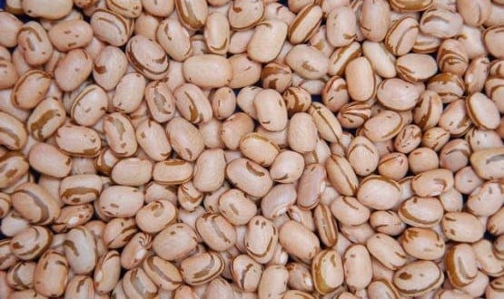 Governo autoriza importação de feijão para reduzir o preço