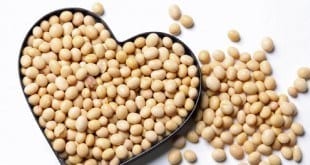 Saúde - Nutricionista explica a importância das leguminosas na alimentação