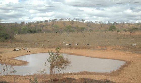 Montes Claros - Município de Montes Claros decreta estado de emergência pela falta de chuvas