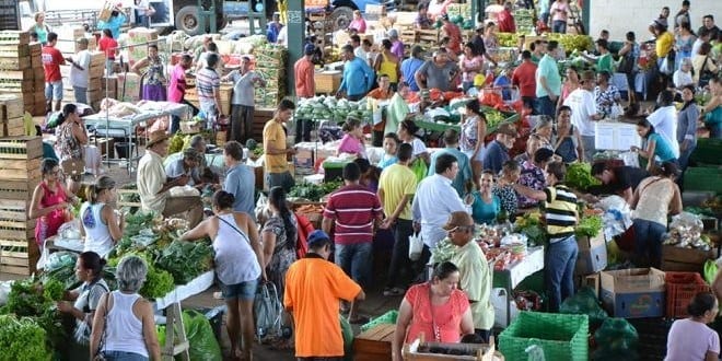 Montes Claros - Ceanorte atrai grande número de feirantes e compradores