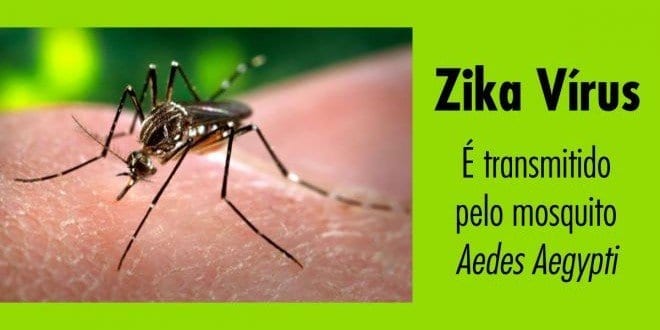 Brasil já registra 161,2 mil casos de suspeita de Zika Vírus