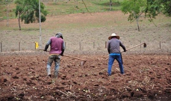 Montes Claros - Garantia Safra atenderá 842 família de agricultores familiares em Montes Claros‏