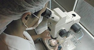 Saúde - Gene que deixa bactérias imbatíveis é encontrado no Brasil
