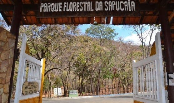 Montes Claros - Escolas municipais participarão das comemorações do Dia da Árvore no Parque da Sapucaia