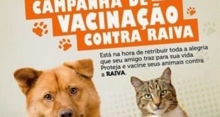 Montes Claros - Cães e gatos devem ser vacinados contra a raiva no dia 17 deste mês