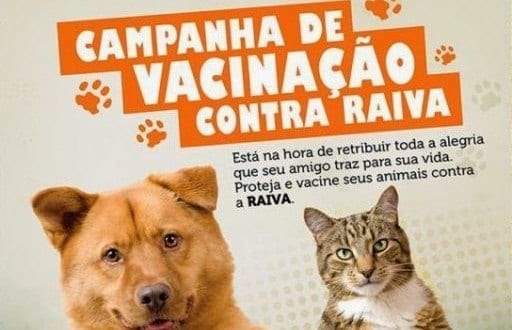 Montes Claros - Cães e gatos devem ser vacinados contra a raiva no dia 17 deste mês
