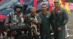 Resgate de animais domésticos, silvestres e peçonhentos é feito diariamente em Belo Horizonte pelo Corpo de Bombeiros