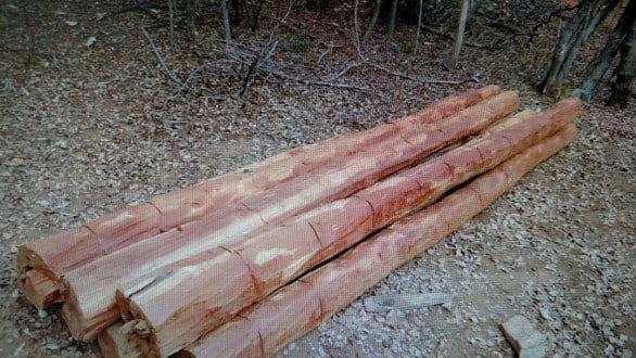 Norte de Minas - PF realiza operação na reserva indígena Xacriabá e no Parque Nacional Cavernas do Peruaçu