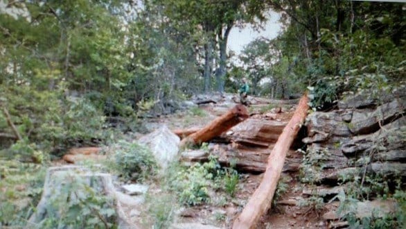 Norte de Minas - PF realiza operação na reserva indígena Xacriabá e no Parque Nacional Cavernas do Peruaçu