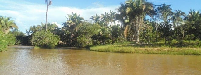 A Área de Proteção Ambiental da Bacia do Rio Pandeiros é a maior unidade de conservação de Minas Gerais