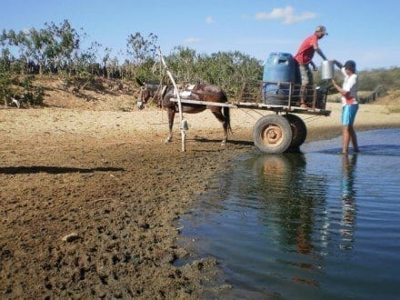 Norte de Minas - Governo Federal reconhece emergência de 5 cidades do Norte de Minas