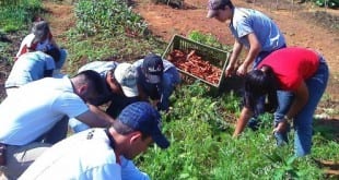 Abertas as inscrições para curso técnico em agropecuária EPAMIG