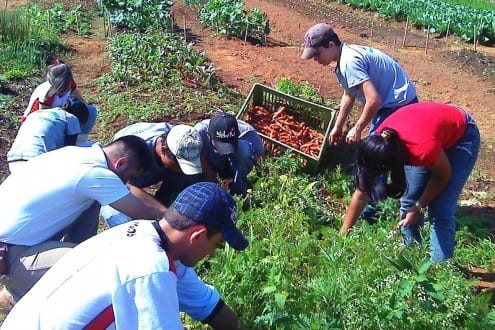 Abertas as inscrições para curso técnico em agropecuária EPAMIG