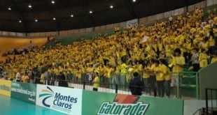 Ingressos para o campeonato Sul-Americano de Vôlei já estão disponíveis