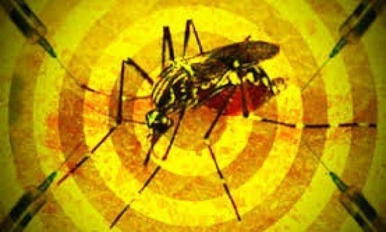 Os casos de febre amarela notificados em Minas Gerais neste ano subiram para 712.