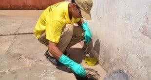 Montes Claros -Período do ano requer maiores cuidados no combate ao Aedes aegypti