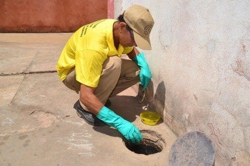 Montes Claros -Período do ano requer maiores cuidados no combate ao Aedes aegypti