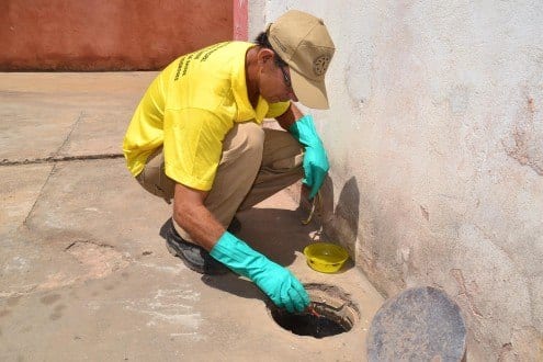 Montes Claros -Período do ano requer maiores cuidados no combate ao Aedes aegypti