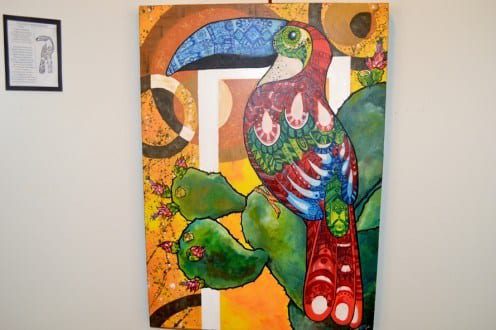 Cultura Moc - Tucanos Imaginários é atração no Museu Regional da Unimontes