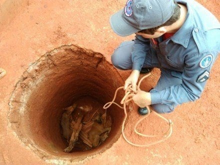 Montes Claros - Bombeiros resgatam cães que caíram em cisterna no bairro Santos Dumont