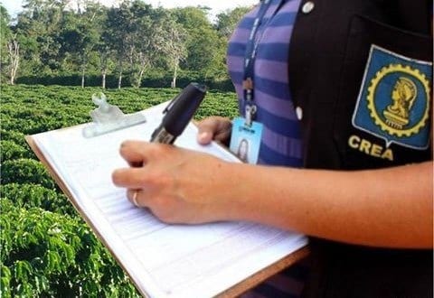 Norte de Minas - Crea-Minas se reúne com empreendedores do agronegócio no Norte de Minas