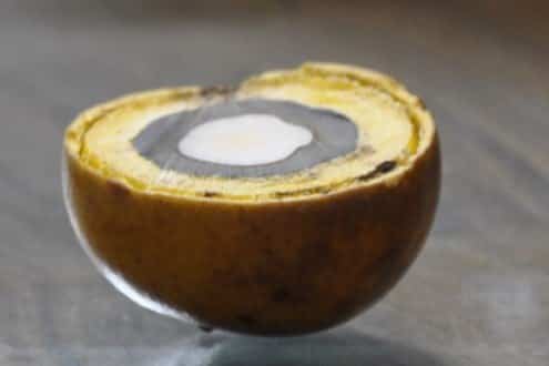 O óleo do Coco macaúba serve de matéria-prima para a produção de biodiesel e bioquerosene, mas todo o coco pode ser reaproveitado na fabricação de diversos produtos