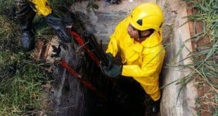 Montes Claros - Cachorro preso em galeria é salvo pelos Bombeiros