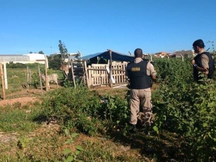 Montes Claros - Dois jovens são encontrados mortos em matagal no bairro Monte Carmelo