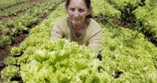 Anater destaca protagonismo da mulher rural na produção de alimentos