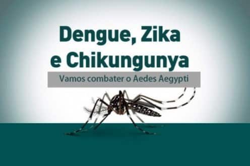 Dia Mundial da Saúde - Governo intensifica combate ao Aedes aegypti