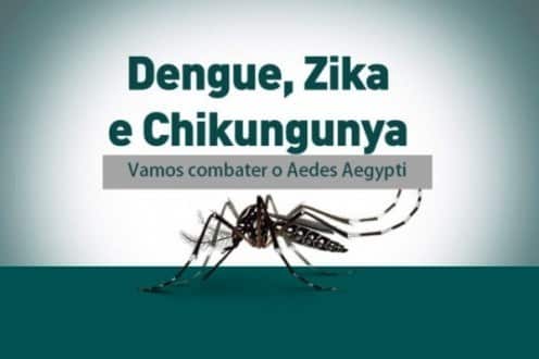 Dia Mundial da Saúde - Governo intensifica combate ao Aedes aegypti