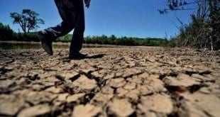 Norte de Minas - Governo federal reconhece emergência por causa da seca em 5 cidades do Norte de Minas