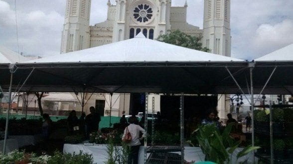 Montes Claros - Exposição de flores na praça da Catedral Metropolitana de Montes Claros