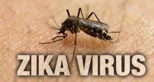 Impacto de longo prazo do zika no país pode chegar a R$ 36 bi
