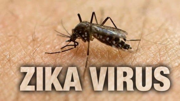Impacto de longo prazo do zika no país pode chegar a R$ 36 bi