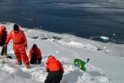 Pesquisadores do MycoAntar, projeto voltado para explorar o continente gelado da Antártica
