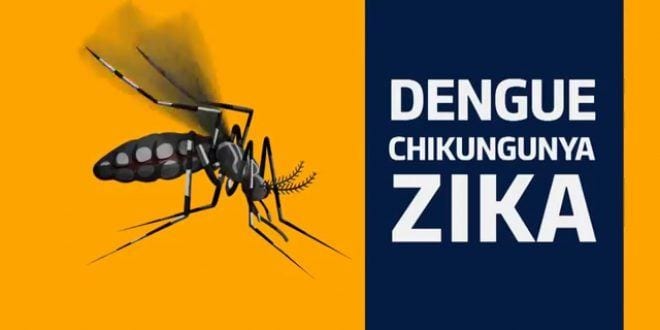 Montes Claros - Sugerida campanha de conscientização para combater mosquito Aedes aegypti
