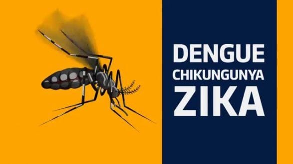 Montes Claros - Sugerida campanha de conscientização para combater mosquito Aedes aegypti