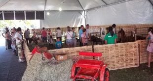Montes Claros - Mini fazenda da 43ª Expomontes