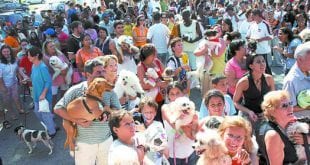 Montes Claros - Campus Montes Claros realizará Cãominhada no domingo