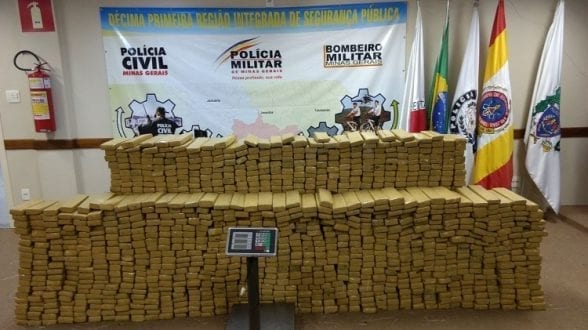Norte de Minas - Operação policial apreende mais de 800 kg de maconha em Claro dos Poções