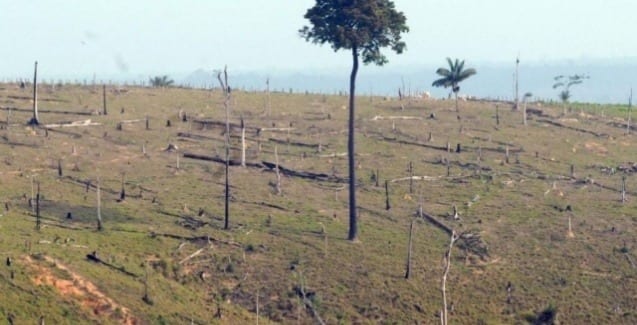 Em dois anos Cerrado perdeu equivalente a mais de três DF pelo desmatamento