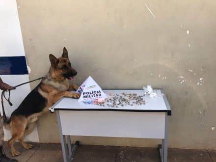 Com o apoio dos cães farejadores, foram feitas buscas pelo local onde os suspeitos se encontravam