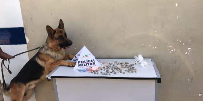 Com o apoio dos cães farejadores, foram feitas buscas pelo local onde os suspeitos se encontravam