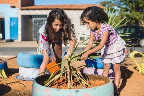Montes Claros - Parceria entre VLI e comunidade transforma entorno da linha férrea em jardim