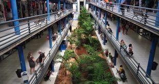 Montes Claros - Prevmoc faz recadastramento dos lojistas do Shopping Popular